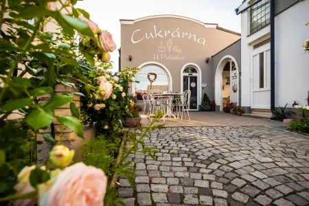 Cukrárna Cejkovice 0005 (2048p).webp